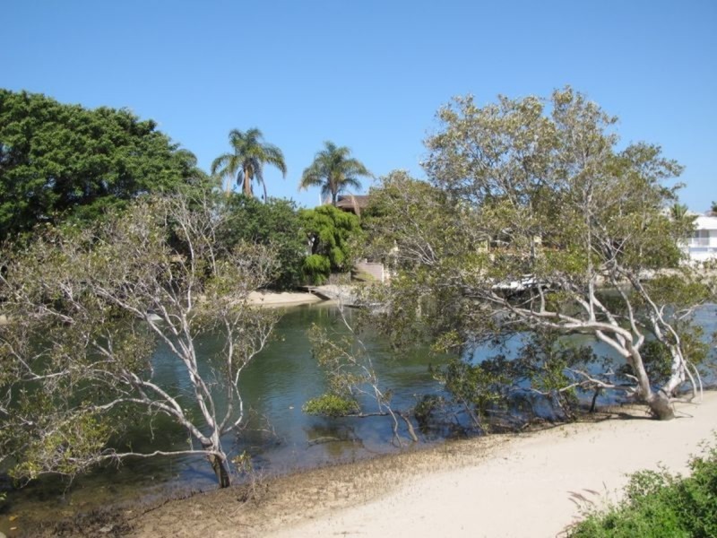 74 Salerno Street, Surfers Paradise QLD 4217