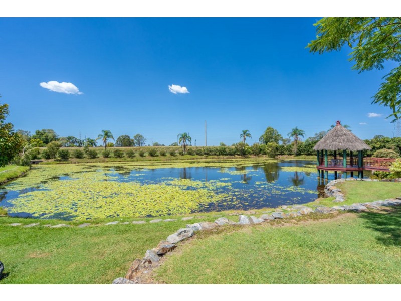 21/13 Bowden Court, Nerang QLD 4211