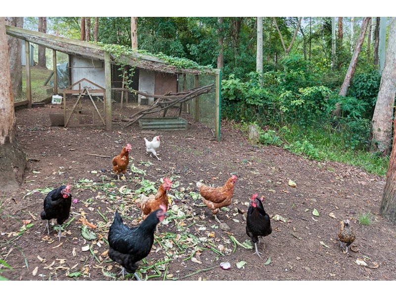 2 Blue Gum Court, Gilston QLD 4211