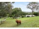 169 Hotham Creek Road, Willow Vale QLD 4209