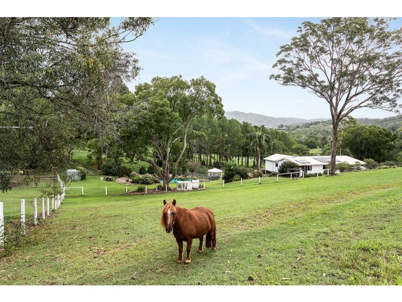 169 Hotham Creek Road, Willow Vale QLD 4209