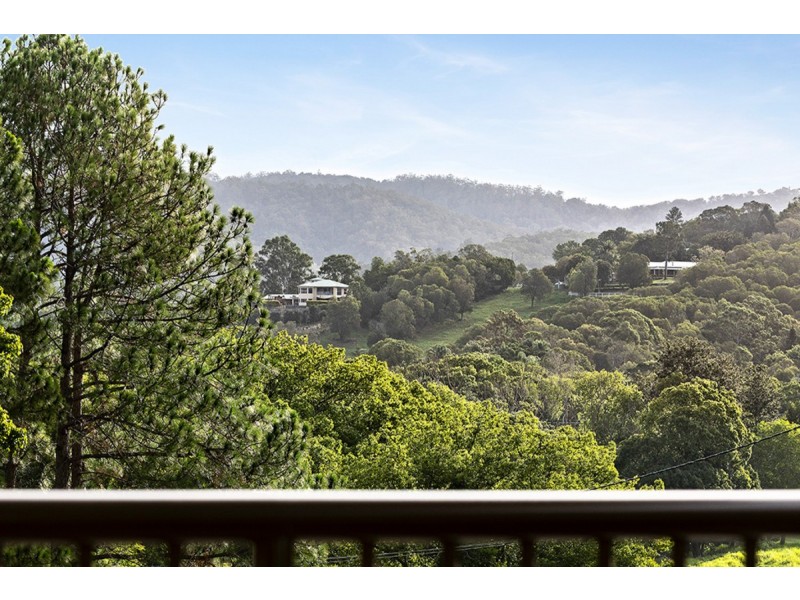 169 Hotham Creek Road, Willow Vale QLD 4209