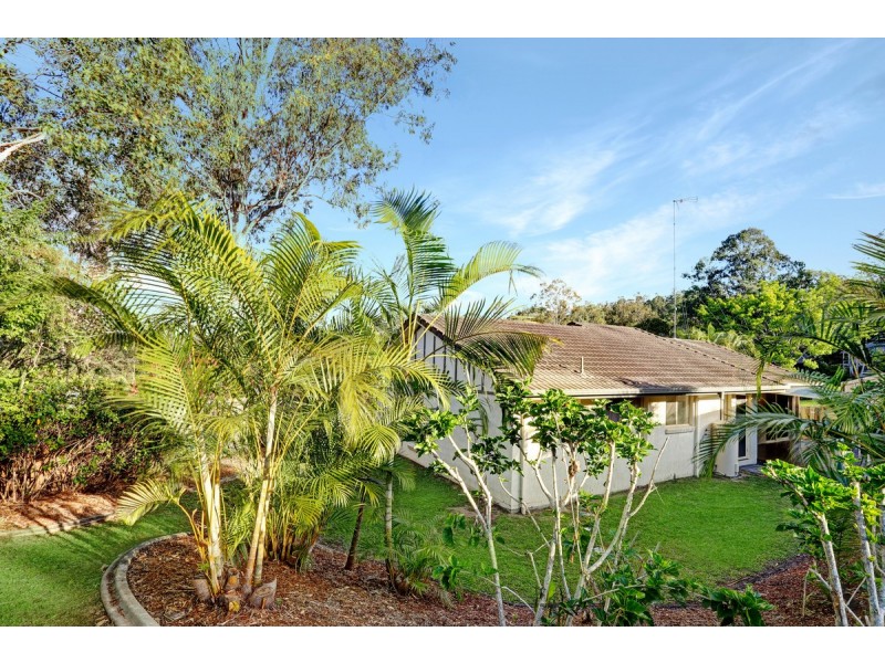 159 Dugandan Street, Nerang QLD 4211