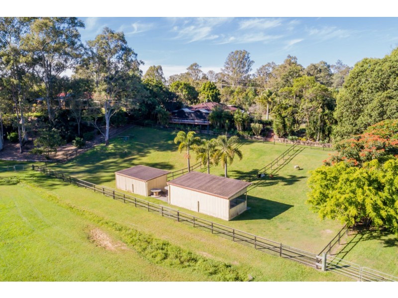 10 Birdlife Court, Nerang QLD 4211