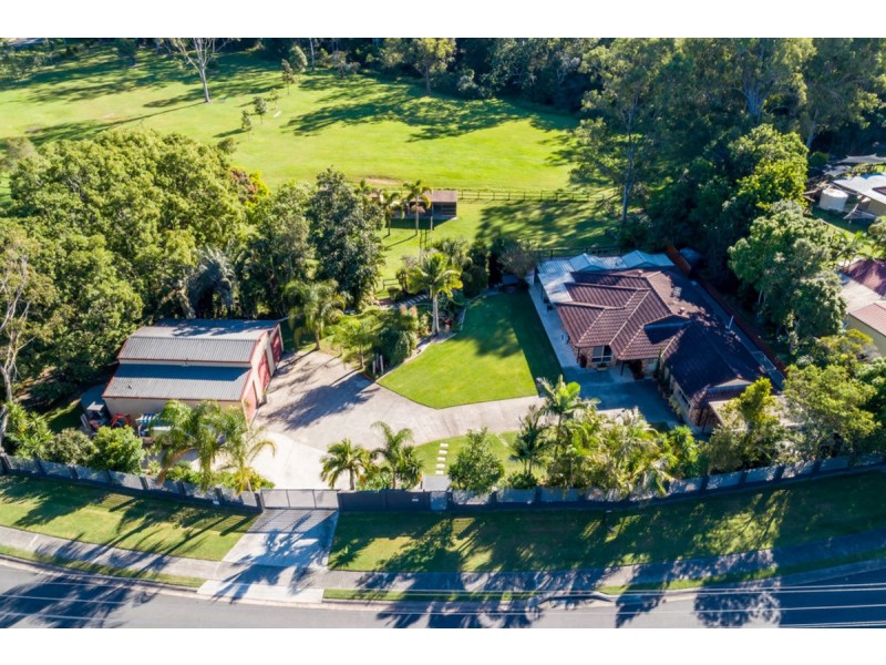 10 Birdlife Court, Nerang QLD 4211