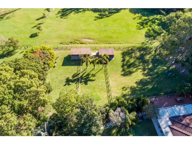 10 Birdlife Court, Nerang QLD 4211