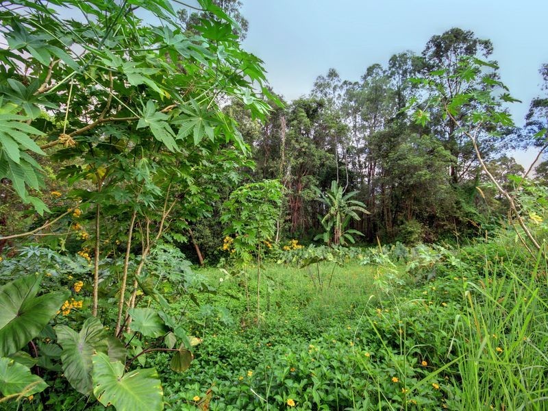 10 Quambone Street, Worongary QLD 4213