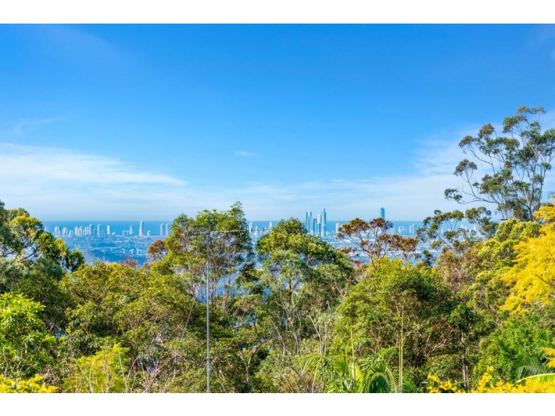 638 Beechmont Road, Lower Beechmont QLD 4211