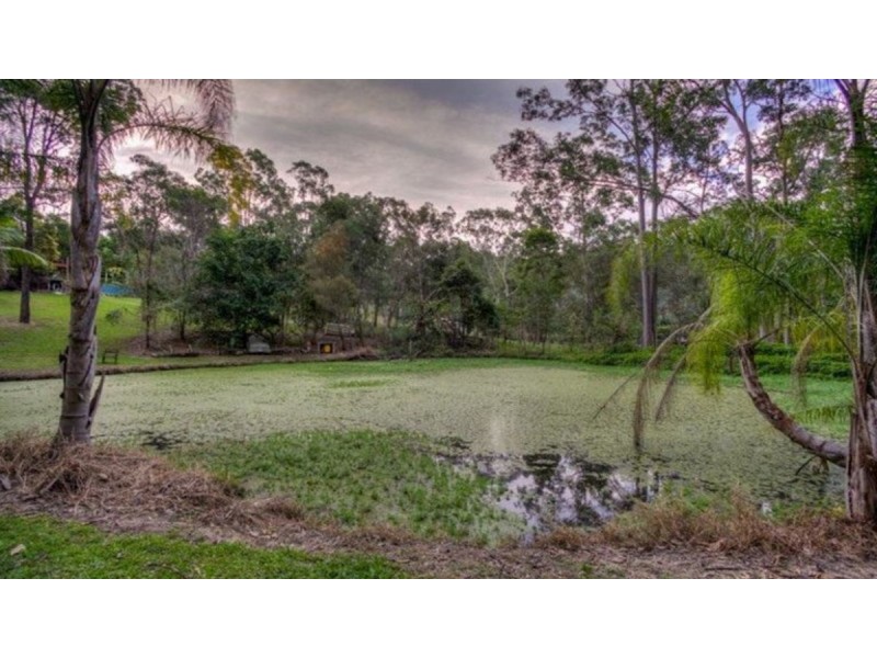 222 Crane Crescent, Nerang QLD 4211
