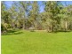 3135 Nerang-Murwillumbah Road, Natural Bridge QLD 4211