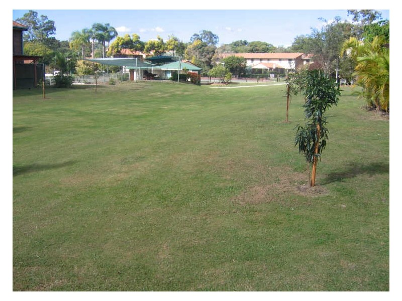 2 Jacarand 67 Nerang Street, Nerang QLD 4211