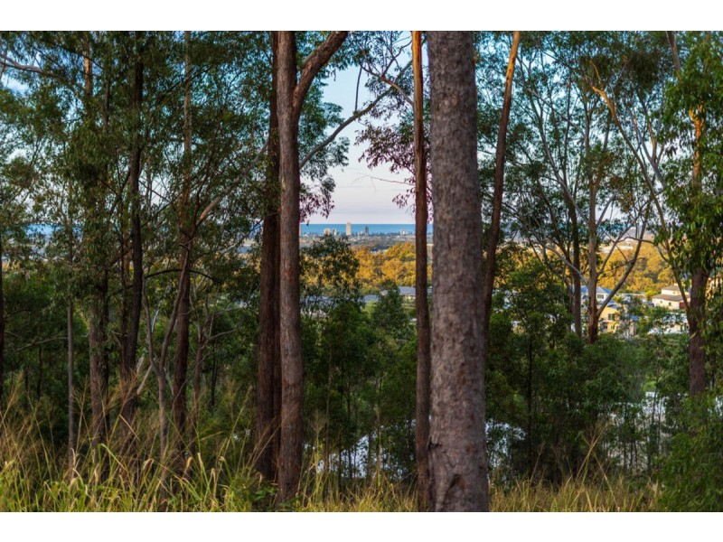 29 Bluebird Lane, Reedy Creek QLD 4227