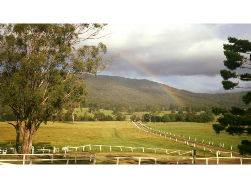 Lot 2/400 Biddaddaba Creek Road, Biddaddaba QLD 4275
