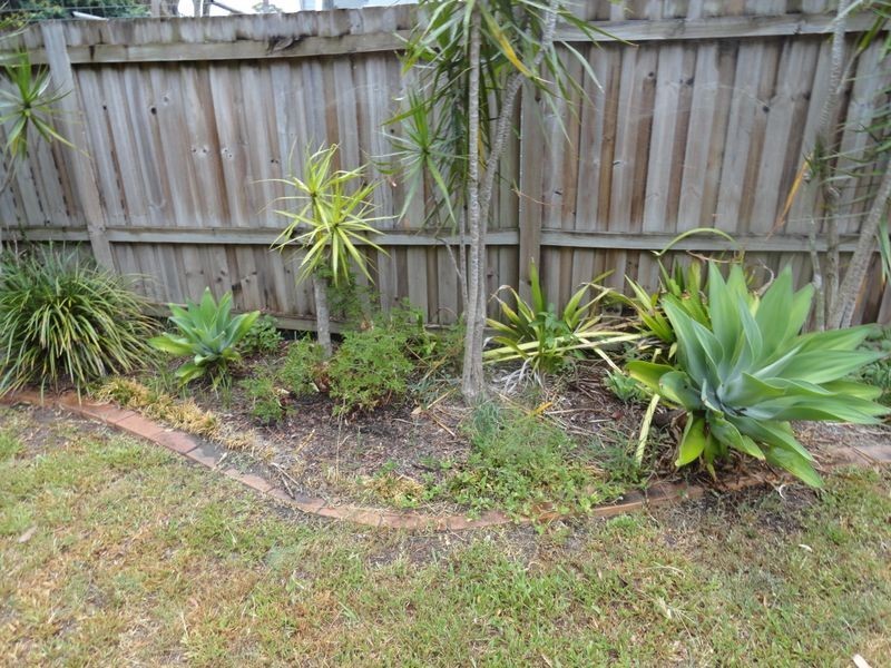 10 Jacaran 67 Nerang Street, Nerang QLD 4211