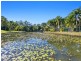 10 Dell Court, Nerang QLD 4211