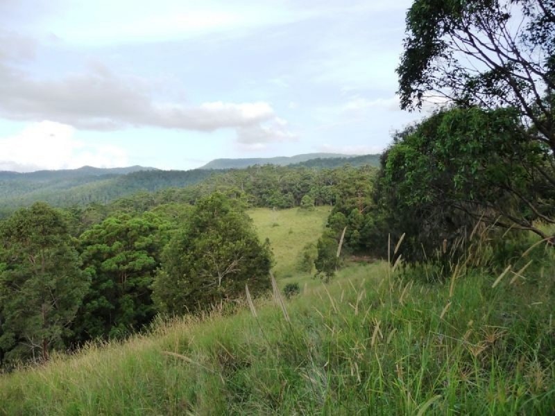 121 Pocket Road, Numinbah Valley QLD 4211