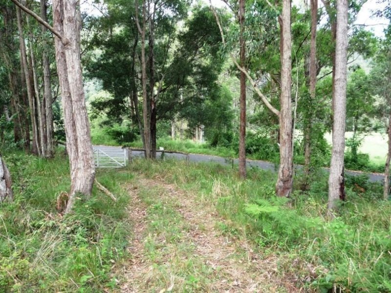 121 Pocket Road, Numinbah Valley QLD 4211