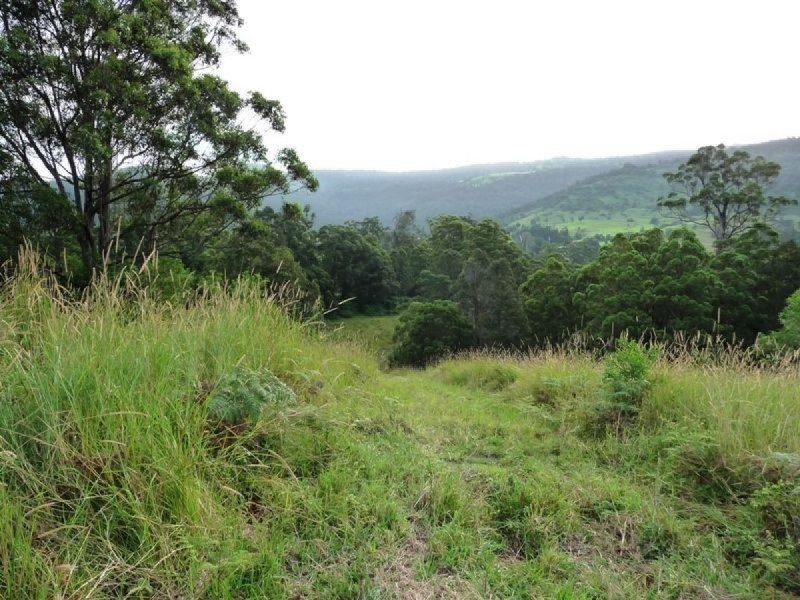 121 Pocket Road, Numinbah Valley QLD 4211