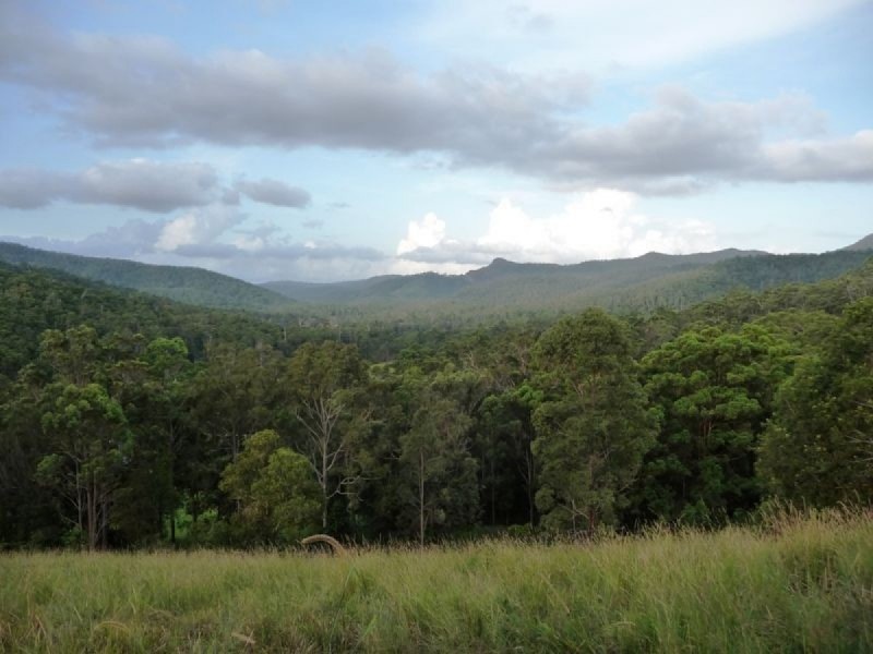 121 Pocket Road, Numinbah Valley QLD 4211