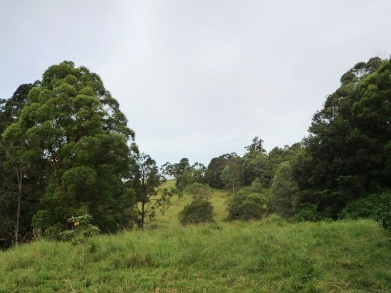 121 Pocket Road, Numinbah Valley QLD 4211