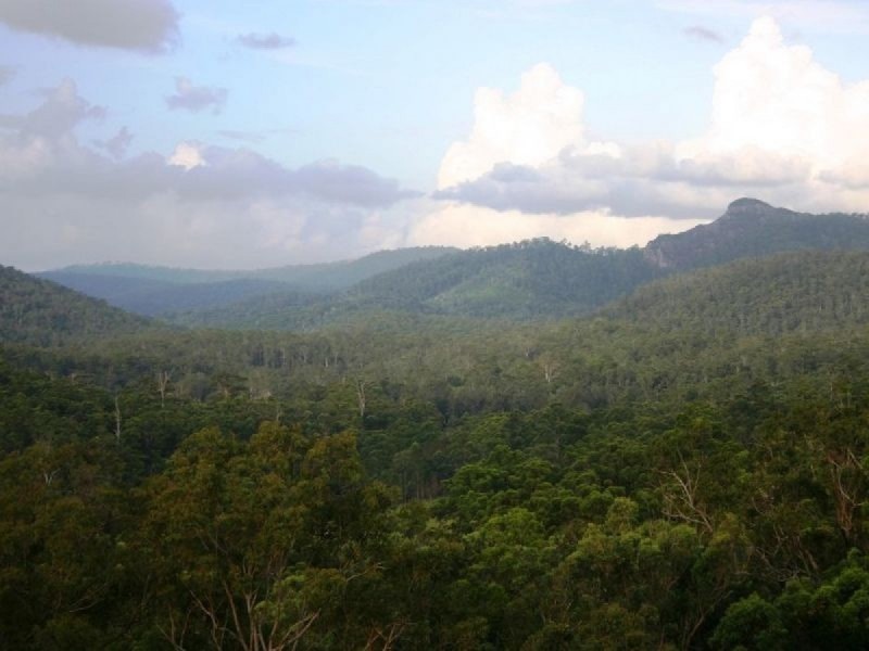 121 Pocket Road, Numinbah Valley QLD 4211