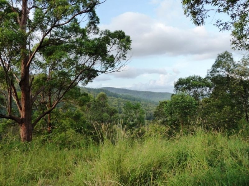 121 Pocket Road, Numinbah Valley QLD 4211