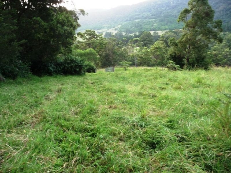 121 Pocket Road, Numinbah Valley QLD 4211