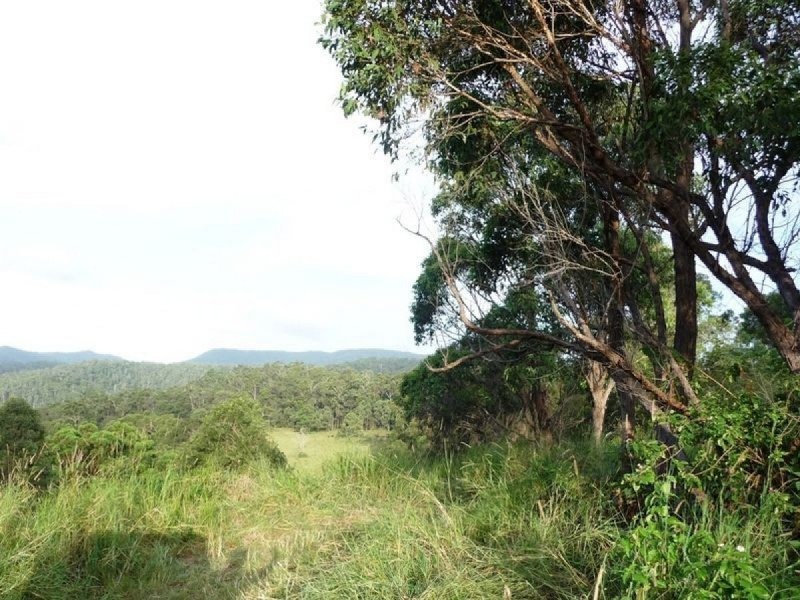 121 Pocket Road, Numinbah Valley QLD 4211