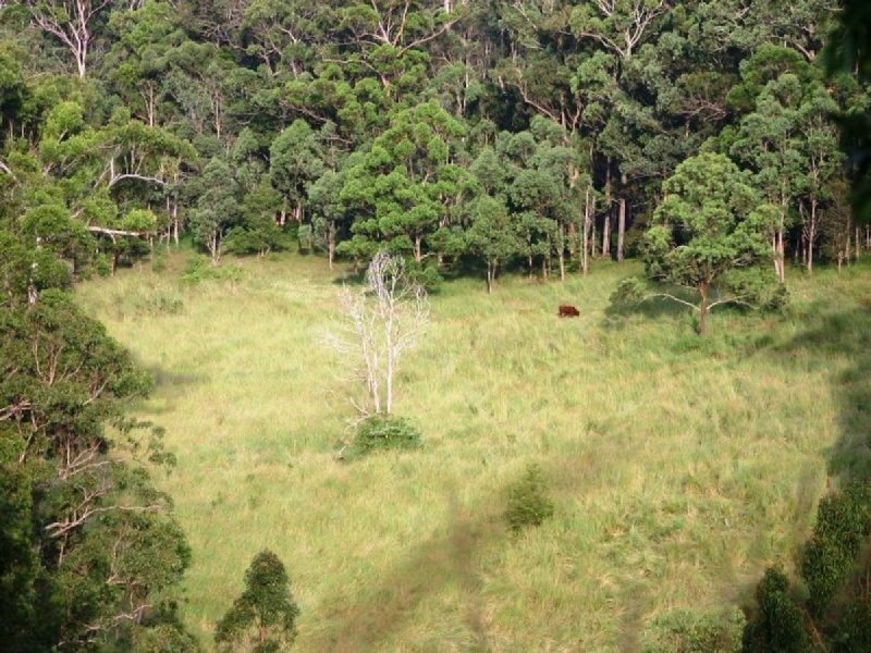 121 Pocket Road, Numinbah Valley QLD 4211