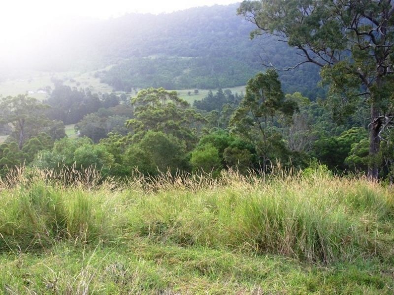 121 Pocket Road, Numinbah Valley QLD 4211
