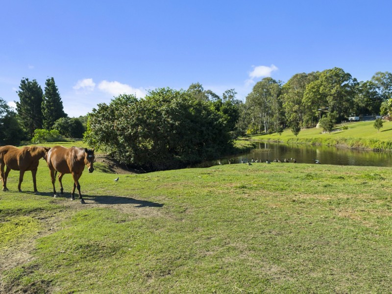 12 Gunsynd Drive, Mudgeeraba QLD 4213