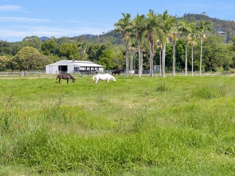 12 Gunsynd Drive, Mudgeeraba QLD 4213