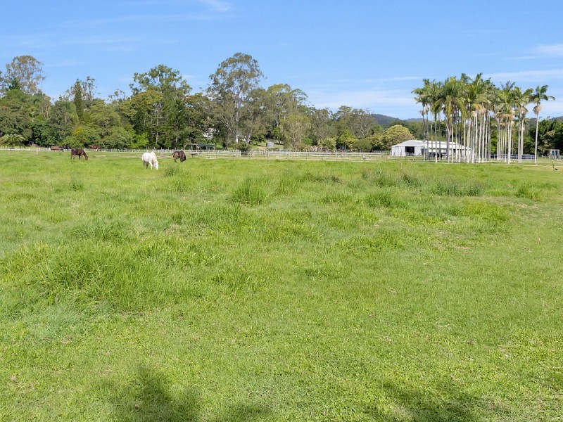 12 Gunsynd Drive, Mudgeeraba QLD 4213