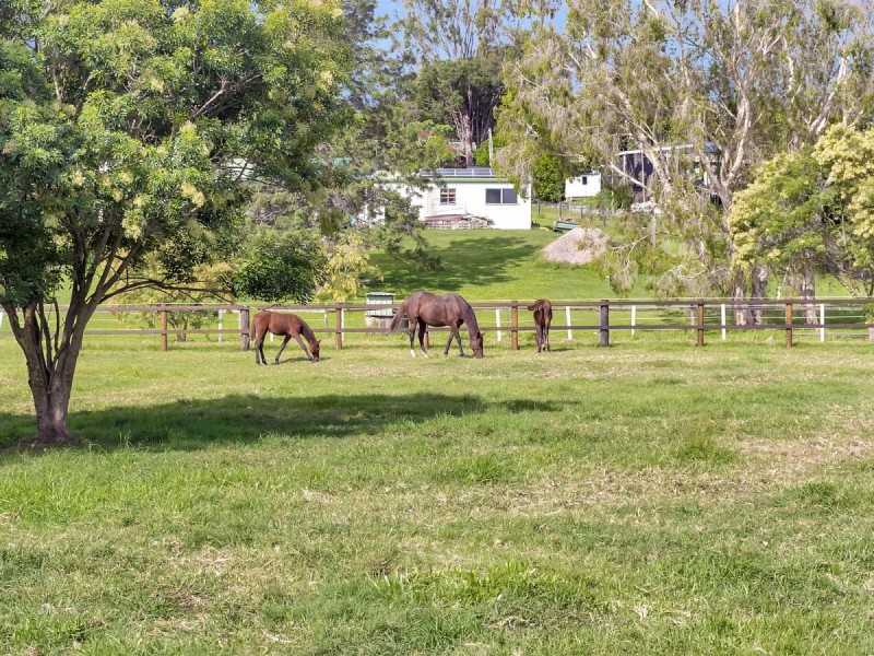 12 Gunsynd Drive, Mudgeeraba QLD 4213