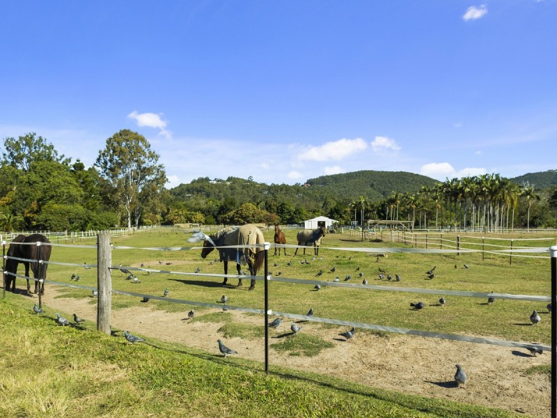 12 Gunsynd Drive, Mudgeeraba QLD 4213