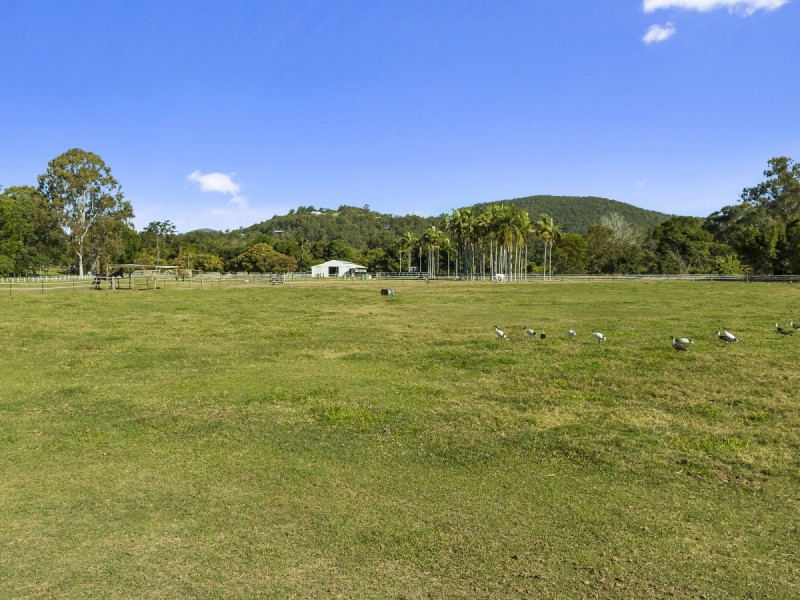 12 Gunsynd Drive, Mudgeeraba QLD 4213