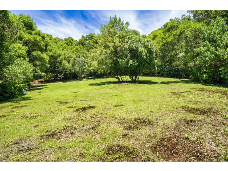 2708 Springbrook Road, Springbrook QLD 4213