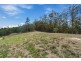 43 Whiptail Place, Advancetown QLD 4211
