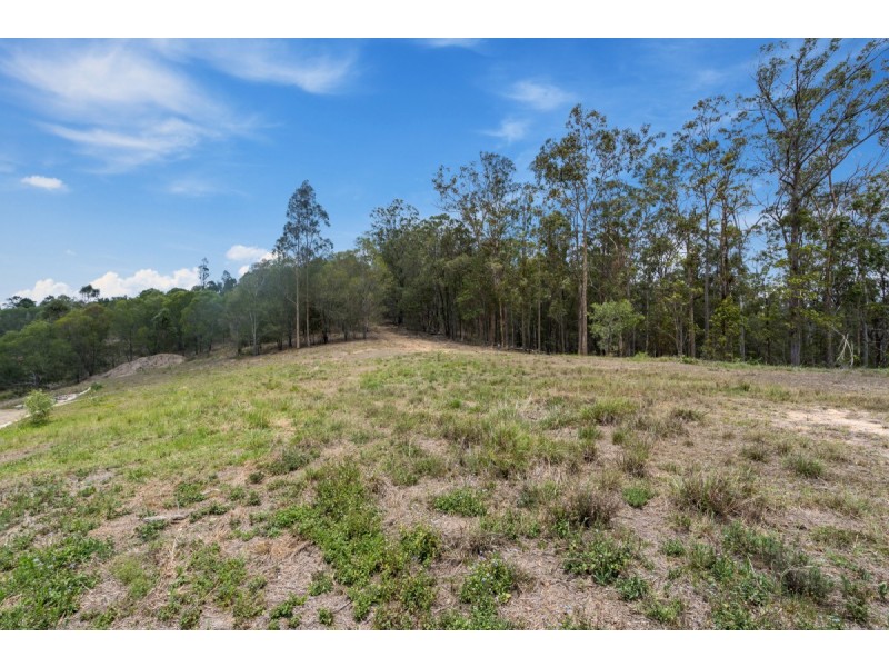 43 Whiptail Place, Advancetown QLD 4211