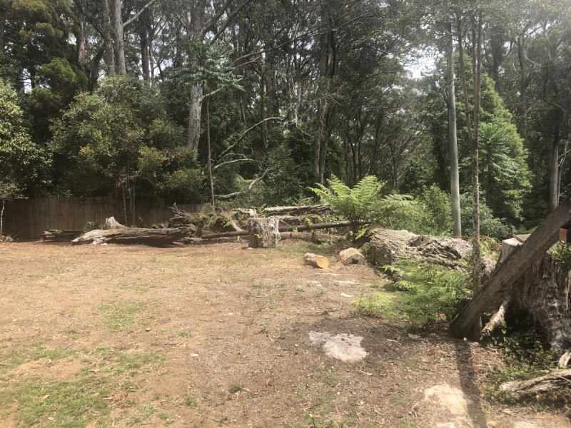 10 Ee-Jung Road, Springbrook QLD 4213