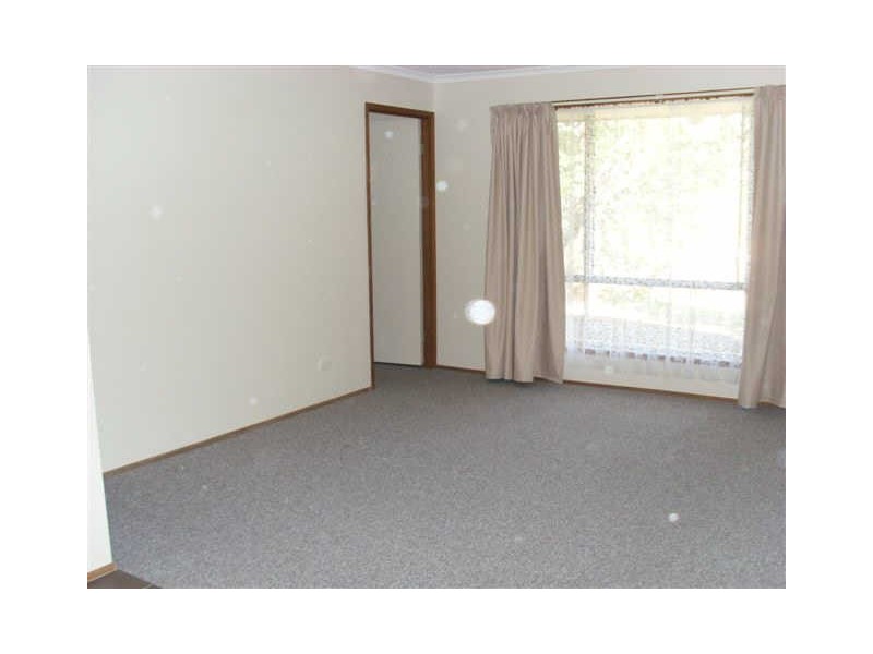 37 The Domain, Nerang QLD 4211