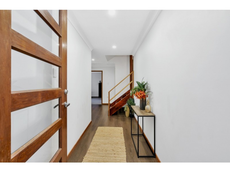 208 Dugandan Street, Nerang QLD 4211