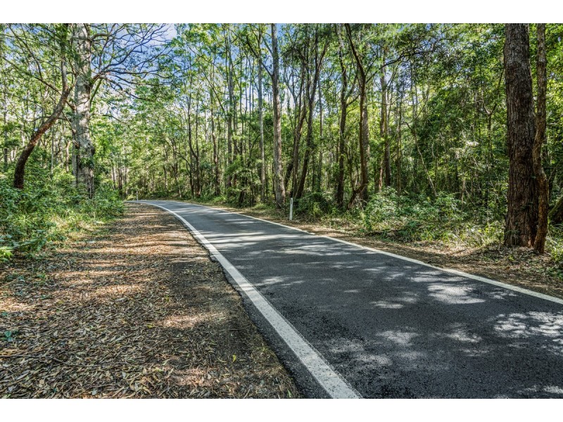 1922 Springbrook Road, Springbrook QLD 4213