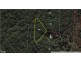 1922 Springbrook Road, Springbrook QLD 4213