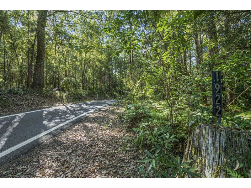 1922 Springbrook Road, Springbrook QLD 4213