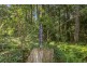 1922 Springbrook Road, Springbrook QLD 4213