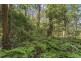 1922 Springbrook Road, Springbrook QLD 4213