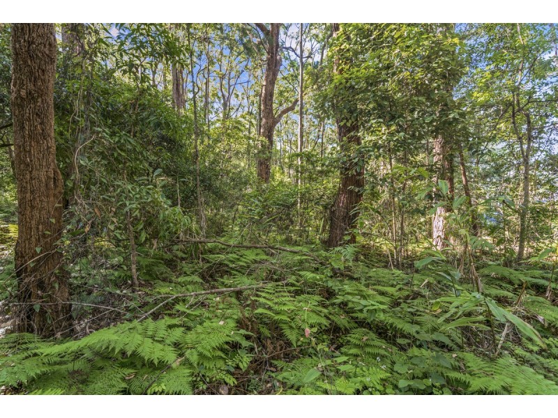 1922 Springbrook Road, Springbrook QLD 4213