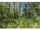 1922 Springbrook Road, Springbrook QLD 4213