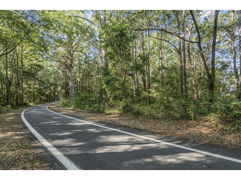 1922 Springbrook Road, Springbrook QLD 4213